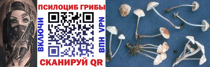 закладки Озёры Галлюциногенные грибы MAGIC MUSHROOMS